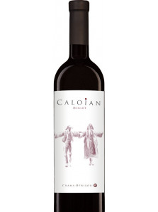 Caloian Merlot 2018 | Crama Oprisor | Plaiurile Drancei